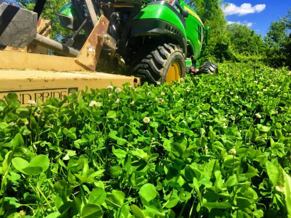 riding lawn mower in a plot of clover