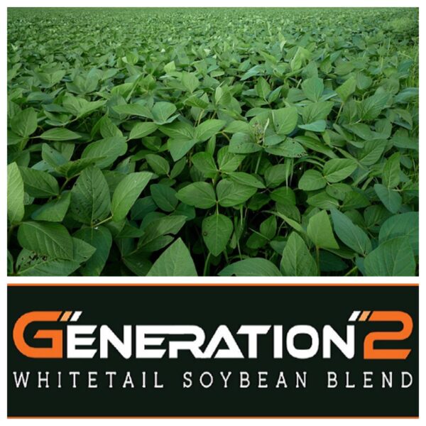 RWWP Generation 2 Whitetail Soybean