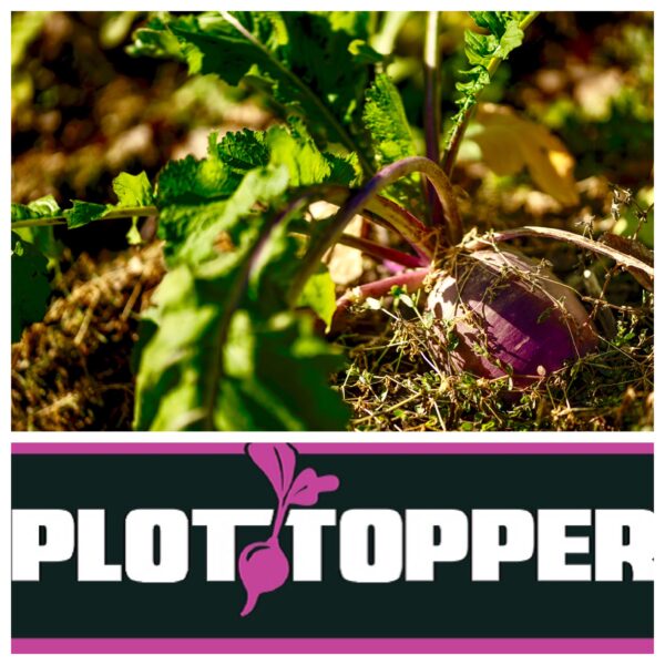 RWWP Plot Topper