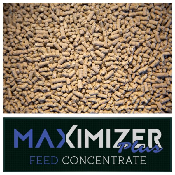 Maximizer Plus Feed Concentrate