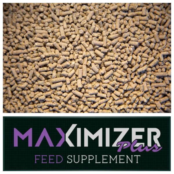 Maximizer Plus Feed Supplement