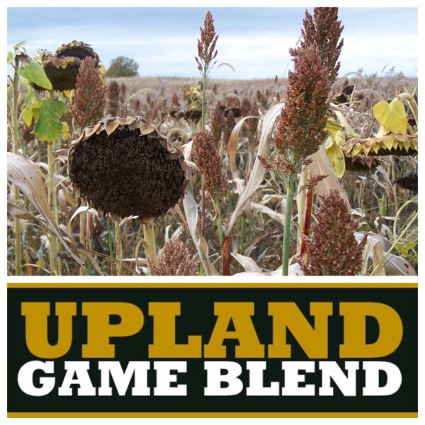 RWWP Upland Game Blend