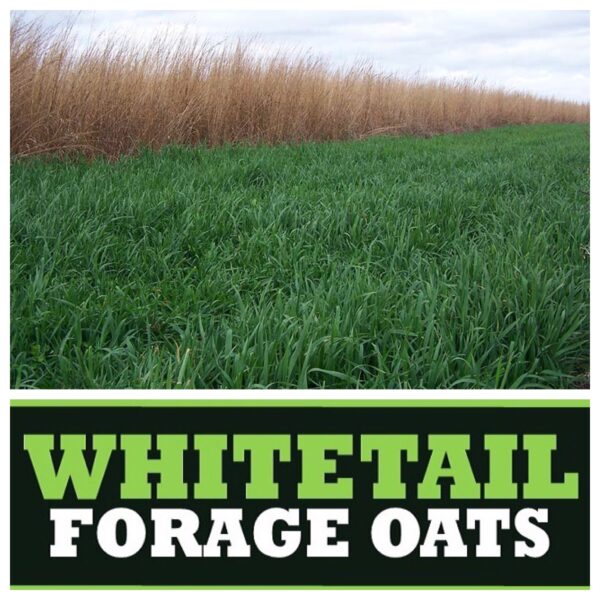 RWWP Whitetail Forage Oats