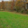 green short grass lined by trees with a hunting blind on the perimeter