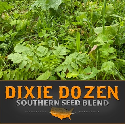 RWWP – Dixie Dozen – Fall Seed Blend